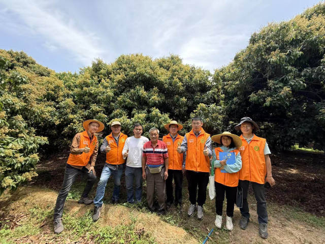 广州市和从化市区两级农技推广中心联合开展技术指导。