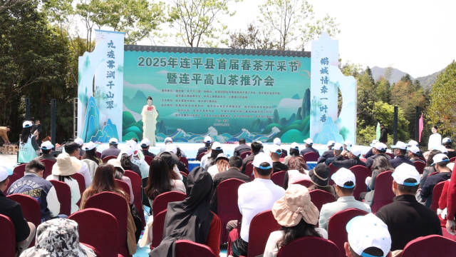 采春茶喽！河源连平首届春茶开采节启幕，3万亩茶园进入采摘季