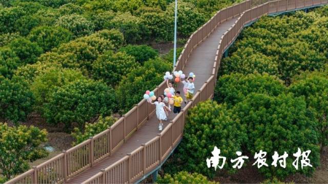 游客漫步根子公园空中栈道,共赴春天的诗约。谭世聪 摄 游客漫步根子公园空中栈道,共赴春天的诗约。谭世聪 摄