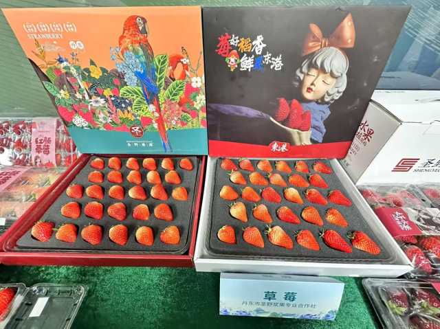 丹东市圣野浆果专业合作社出品的丹东草莓