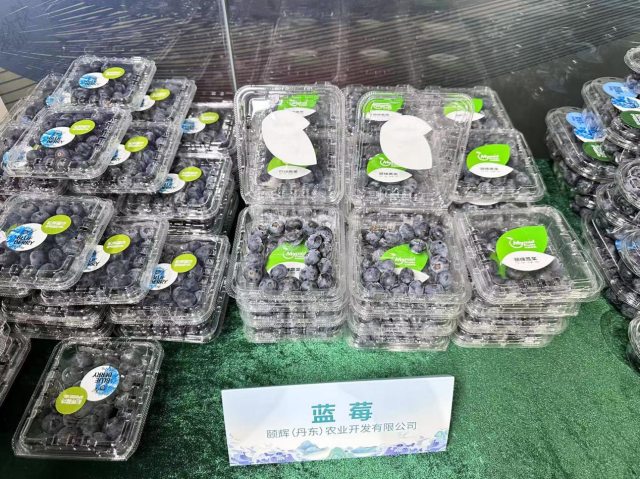 颐辉(丹东)农业开发有限公司出品的蓝莓