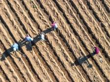 黑土地上的美食来莞！辽宁展团集结2025食博会·预博会和农博会