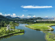 锻造政治过硬的