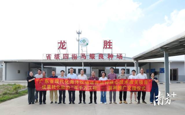 30万尾黄鳍棘鲷鱼苗启程!科技驱动下的现代化海洋牧场种业攻坚取得阶段性成果