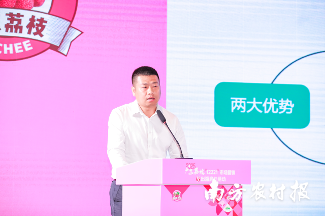 汕头市潮南区雷岭镇人民政府镇长连炼生