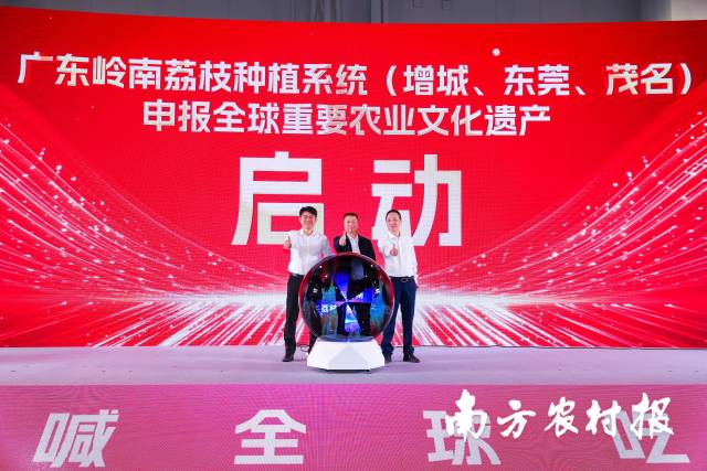 广东岭南荔枝种植系统申报全球重要农业文化遗产启动。