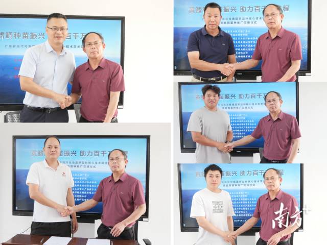 交接签约仪式现场。