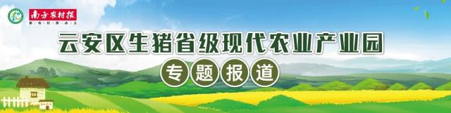 云浮市云安区生猪省级现代农业产业园顺利通过中期评估