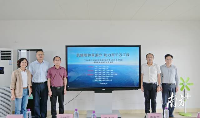 交接签约仪式现场。