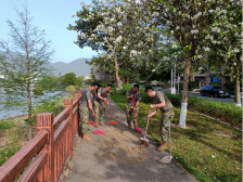 阳山秤架民兵勇当环保先锋，积极开展爱国卫生运动工作
