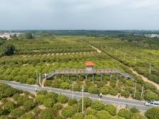 越秀区携手遂溪县创新帮扶协作，“五个 +” 模式激活发展新动能