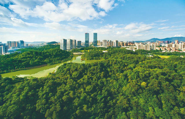 蓝天白云簇拥江门主城区。麦启明 摄