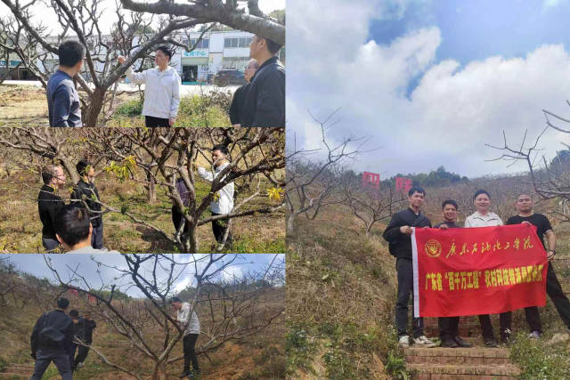 科技特派员指导种植户修建果树。