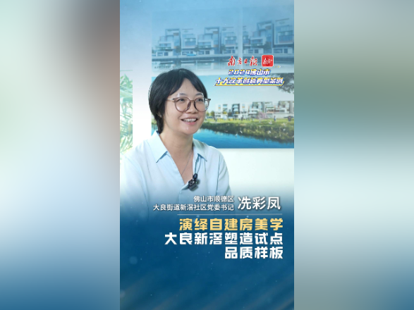 农村自建房跟图纸上一样美，顺德如何做到？｜佛山十大改革案例