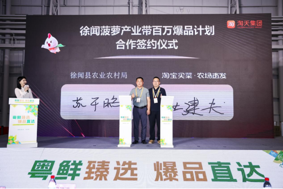 徐闻菠萝产业带百万爆品计划合作签约仪式