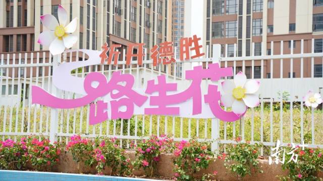 该项目通过“绿美种植+文化赋能+社区共治”路径，推动城市微更新与乡村振兴深度融合。德胜社区供图