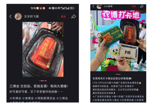 火了！小红书博主组团来“三博会”打卡！