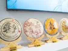 在2025食博会·预博会和农博会，赴一场东莞藏茶之约｜展会动态⑧（附视频）