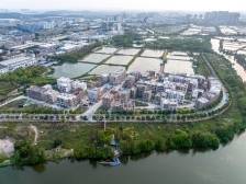 自建房变美，顺德经验获全省推广｜改革深透视