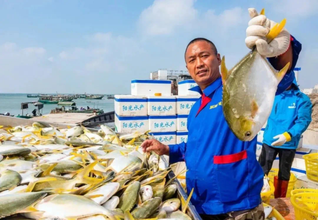 湛江金鲳鱼。