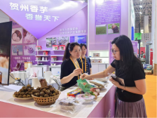 “长寿之乡”香芋产业再升级！贺州香芋亮相展会引关注｜展会动态⑯