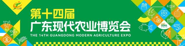 广东粮科所首秀广东农博会，“防虫高手”亮妙招