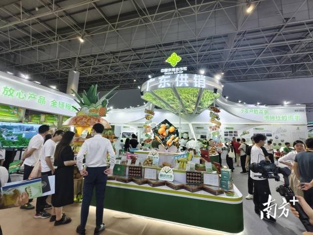 广东供销展团展区