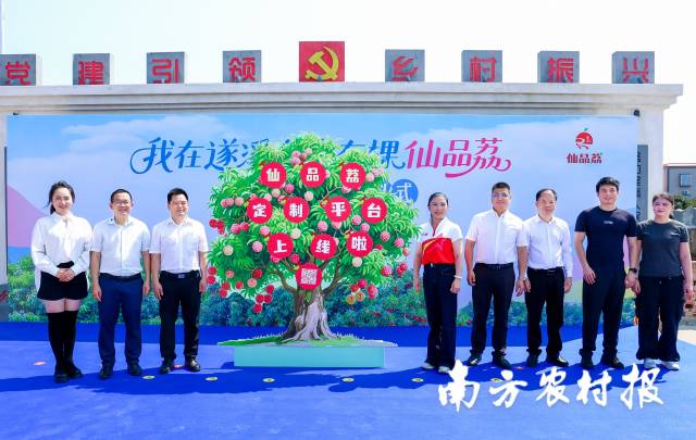 “我在遂溪乌塘有棵仙品荔”定制平台正式上线 