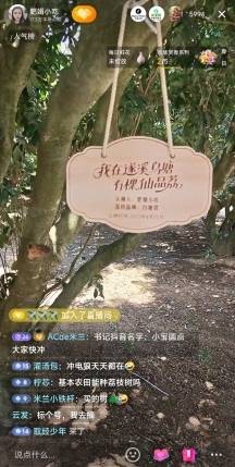 肥娟小吃现场直播 