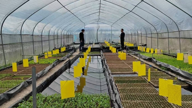 一群年轻大学生为何在韶关乳源山区创业？答案在这里