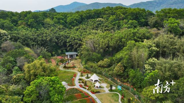 村中的创意花房、手工体验坊。 村中的创意花房、手工体验坊。