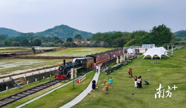 村中的复古火车和田园美景,吸引很多游客前来打卡。 村中的复古火车和田园美景,吸引很多游客前来打卡。