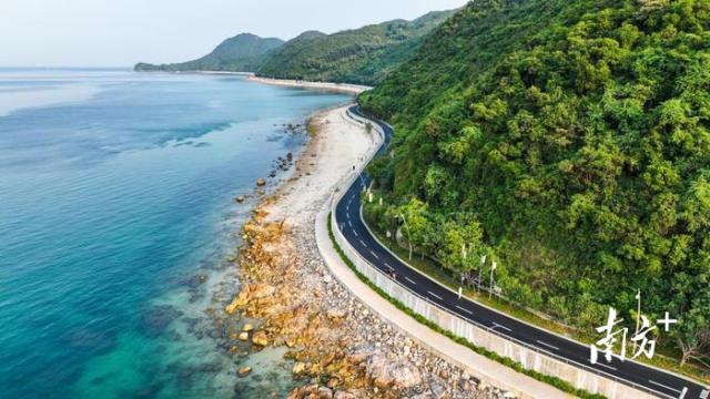 深圳杨梅坑