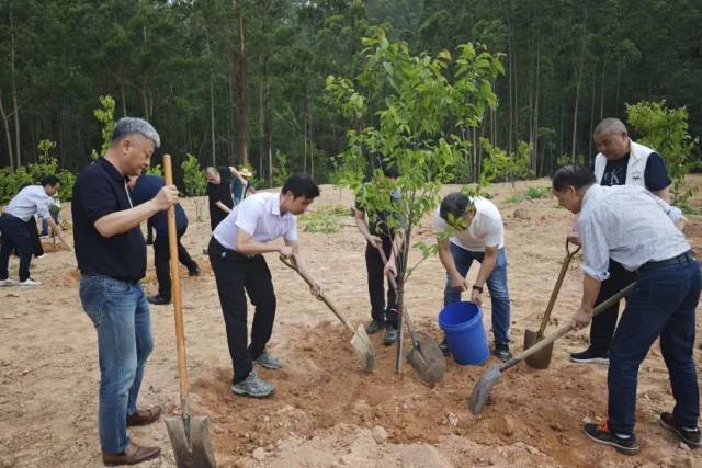 蓬江区镇村干部与摩托车产业链企业家携手植绿。