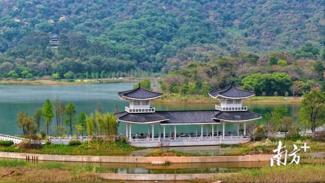 迳下村湖中长堤。 迳下村湖中长堤。