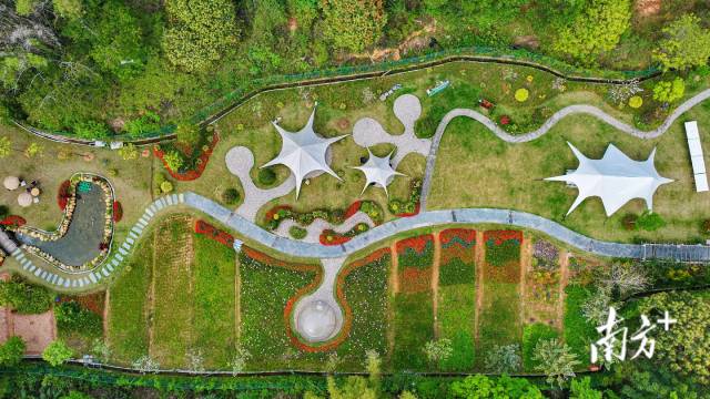 迳下村露营地。 迳下村露营地。