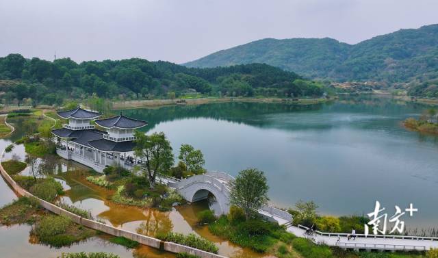 迳下村“水清岸绿、鸟语花香”的生态廊道。 迳下村“水清岸绿、鸟语花香”的生态廊道。