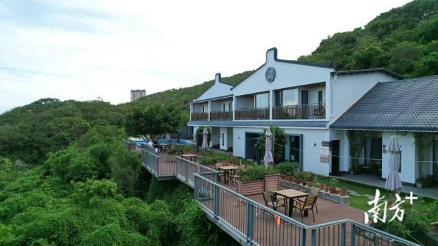 南澳县“和美海岛”的绿色家底更厚实。 南方+ 郑淼鑫 拍摄