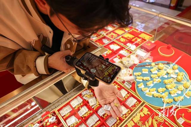從金融圈到田埂間！澳門青年在稻田養(yǎng)出 “水中蟲草”