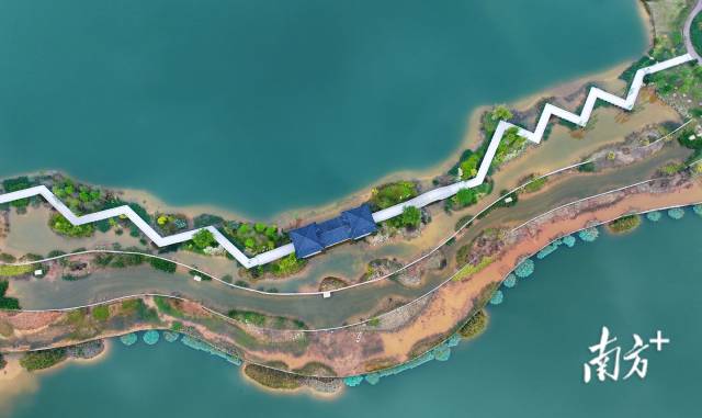 湖中长堤。 湖中长堤。