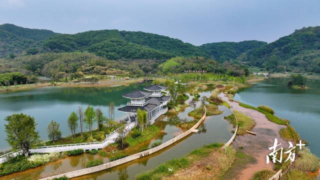 广州黄埔迳下村“水清岸绿、鸟语花香”的生态廊道。 广州黄埔迳下村“水清岸绿、鸟语花香”的生态廊道。