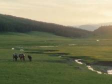 新大众文艺的人民性