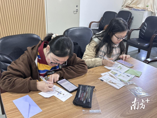 侨乡学子写书信给喀什的孩子。 侨乡学子写书信给喀什的孩子。