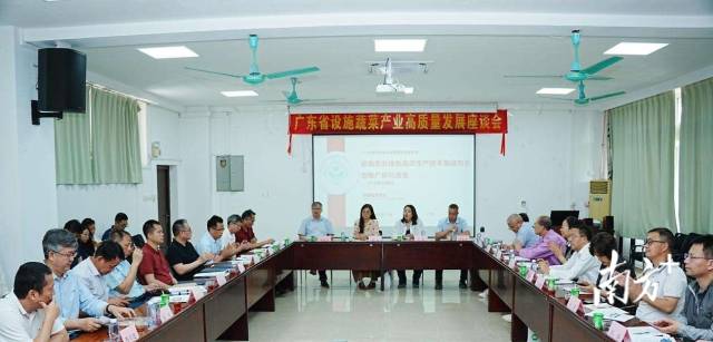 广东省设施蔬菜产业高质量发展座谈会。