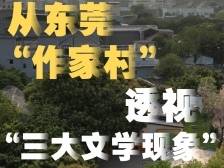 从东莞“作家村”透视“三大文学现象” | 有点艺思