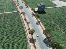 平远创新城乡融合示范路径，打造三省交界美丽边城