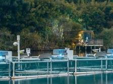 以数字化为器双向奔赴，让农民没有荒地 | 走读深圳产业力量