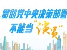 贯彻党中央决策部署不能当“演员”
