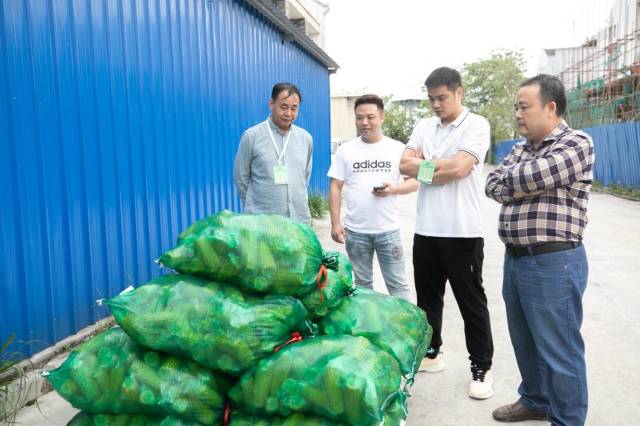 采购商了解糯玉米销售情况。