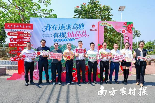 “我在遂溪乌塘有棵仙品荔”定制平台上线仪式 